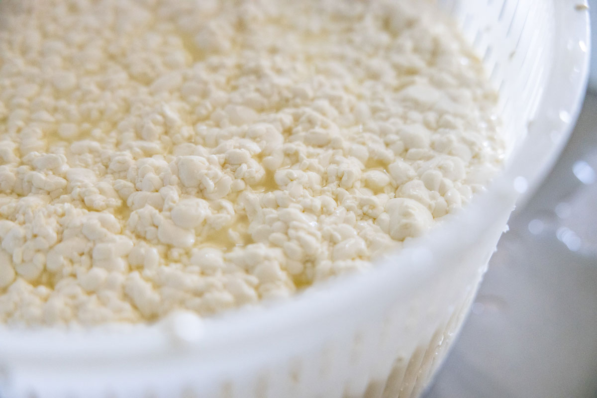 A bowl of curds.