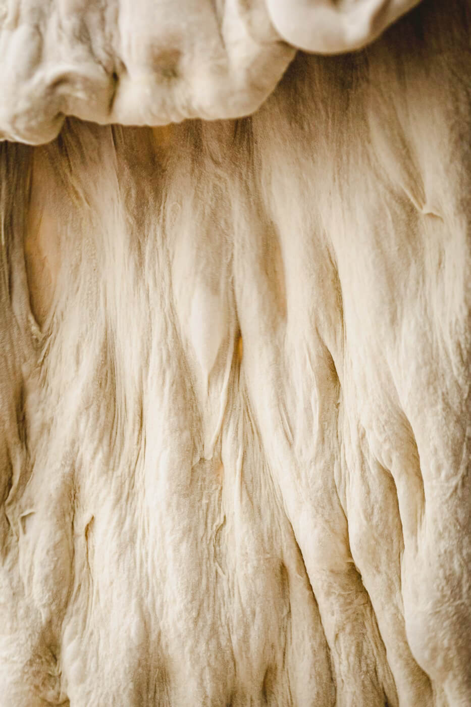 A sheet of dough.