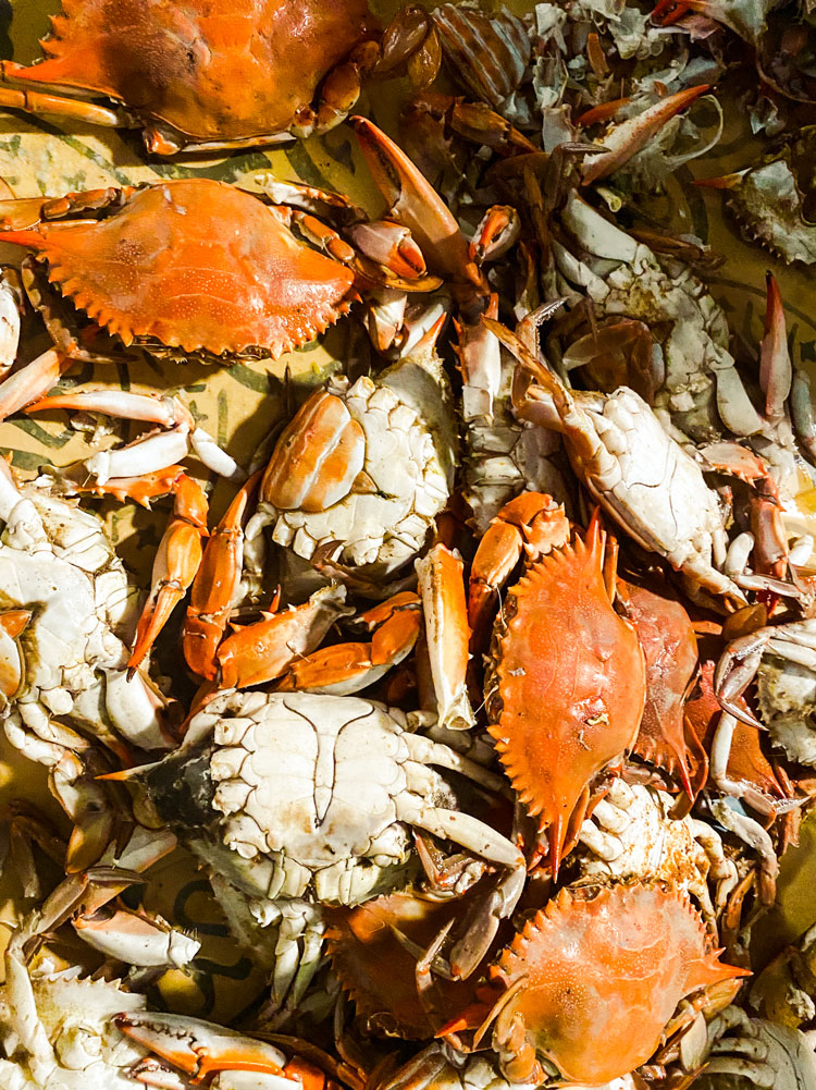 A large batch of boiled crabs.