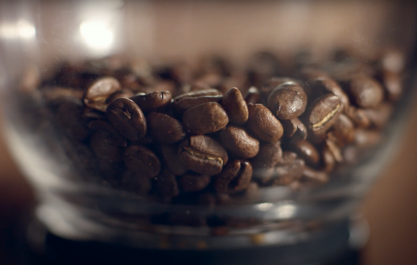 Fresh coffee beans