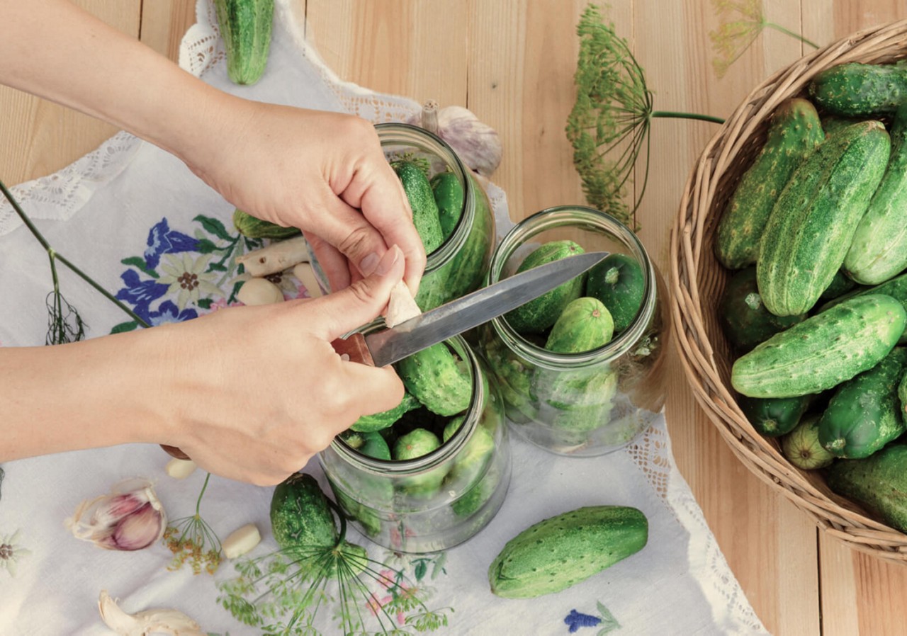 Cucumbers getting prepped for pickling with herbs and fresh garlic