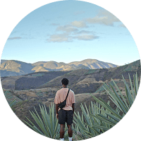 A person standing in front of landscape