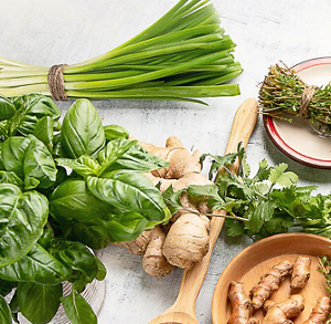 Bird’s-eye view of fresh herbs on a countertop