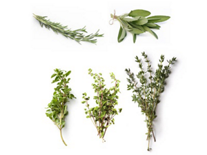 Stems and leaves of various woody herbs